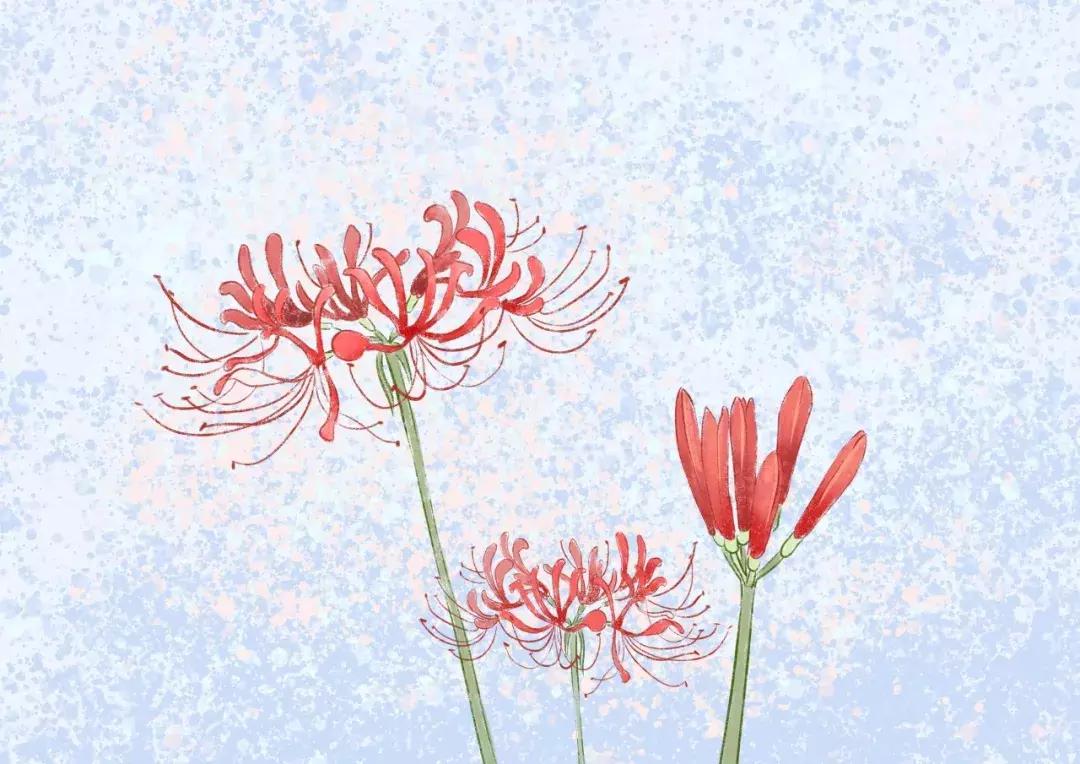 宋词美在何处原唱,宋词美到极致的意境