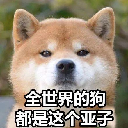 狗狗拉大便怎么判断,狗狗拉便便要怎么发现