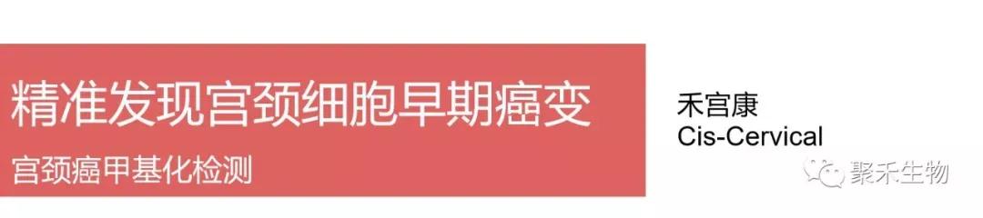 公司|分子诊断——聚禾生物