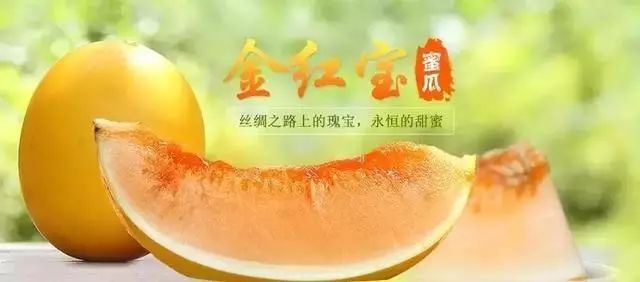 大漠甜瓜，甜甜蜜蜜就是民勤滋味