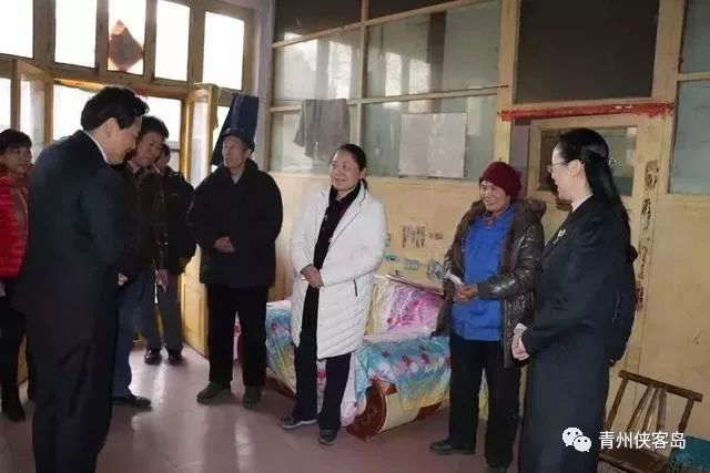 青州甄日菊简介,青州甄日菊