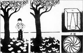 日食裸眼观看图片,裸眼看太阳会怎么样