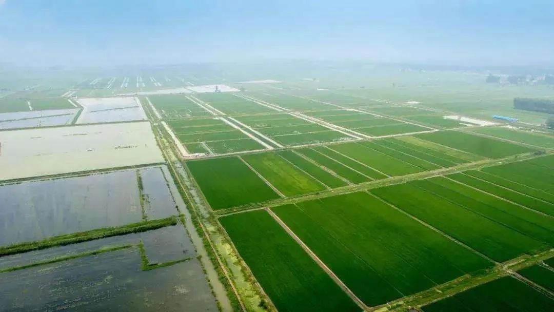 油城乡村风情,油城乡间风情