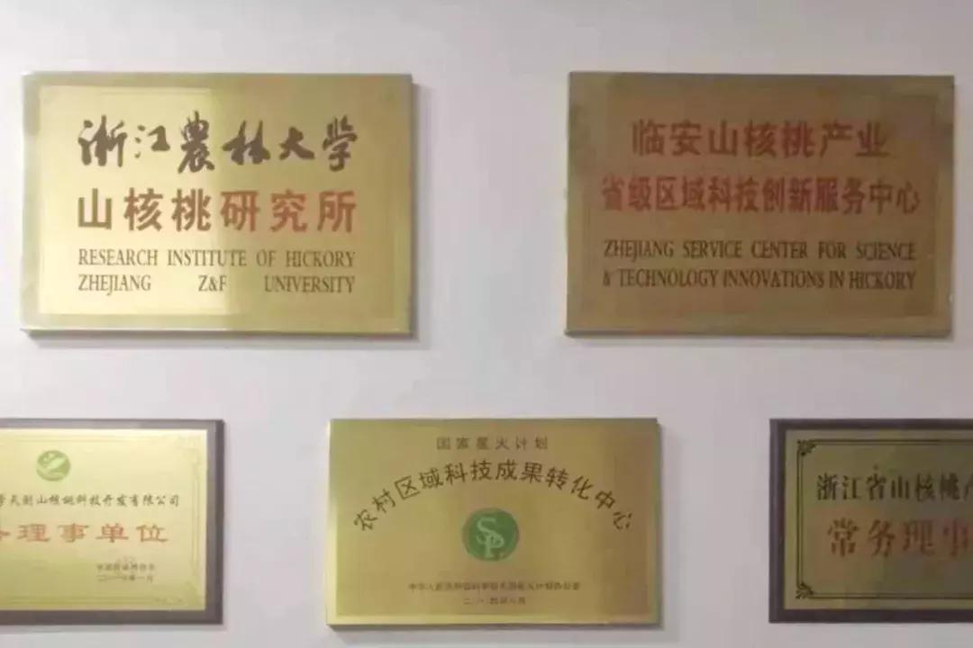 临安哪里的山核桃最好,杭州临安山核桃排名第一