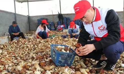 未来5年乡村创业趋势,走出独具特色回乡创业新路