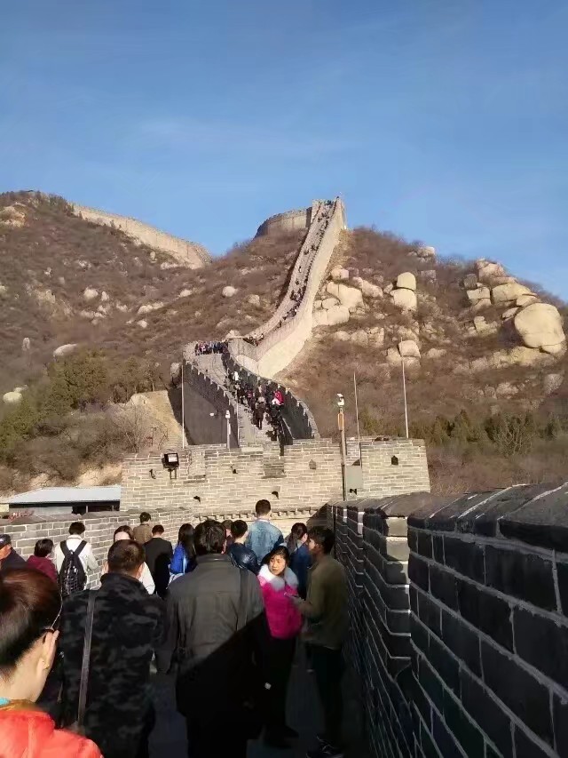 封家中新感——“仙妮”后思