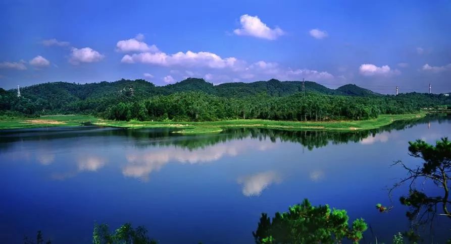 深圳平湖房价真实成交,深圳平湖房价12万平层