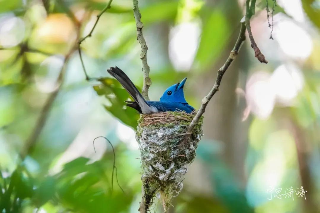 购买相机需要注意哪些细节,购买相机需要注意哪些