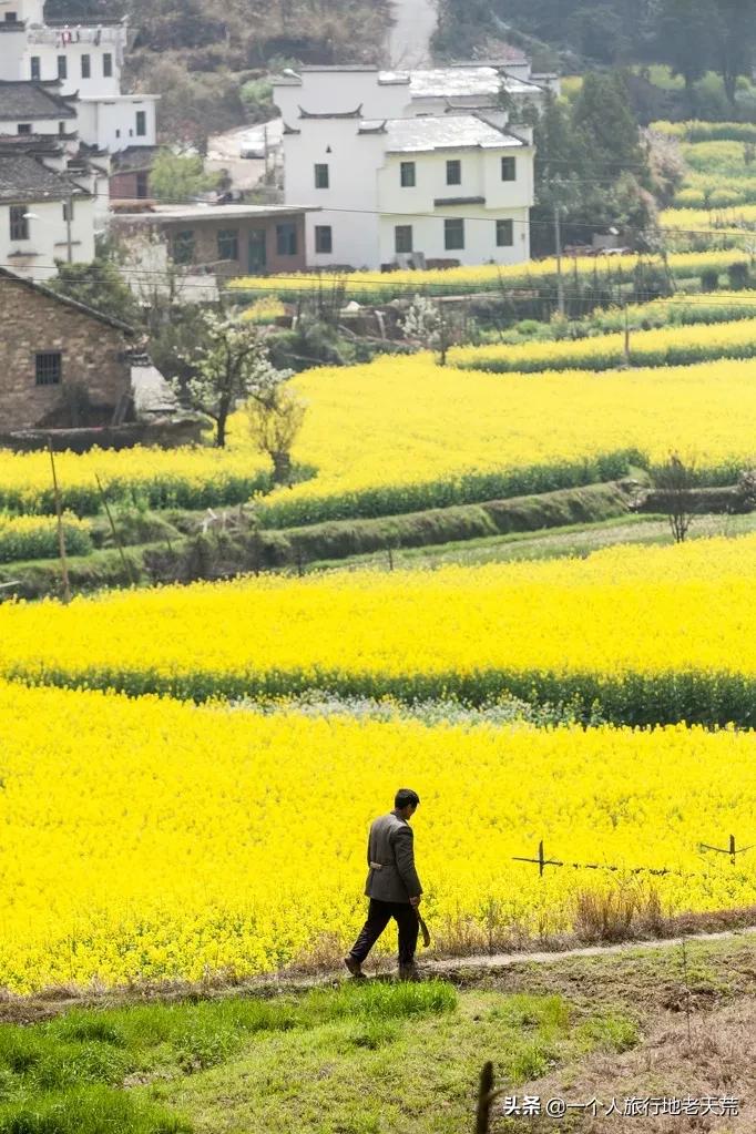 国内最适合一个人旅行的20个地方！去过才懂得什么是自由