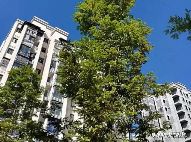 在苏马荡避暑每月大概花费多少钱,苏马荡住哪里好