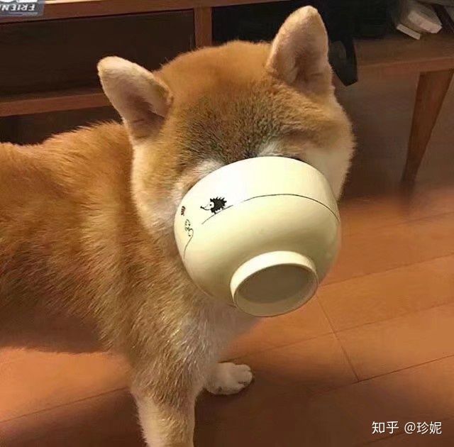 睡不着文案可爱沙雕朋友圈,可爱沙雕有趣的朋友圈文案短句