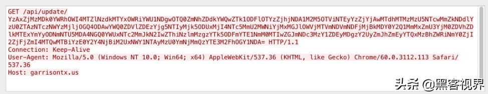 暗网市场再上新货,*载下**型木马病毒“Buer(帕尔)”备受关注