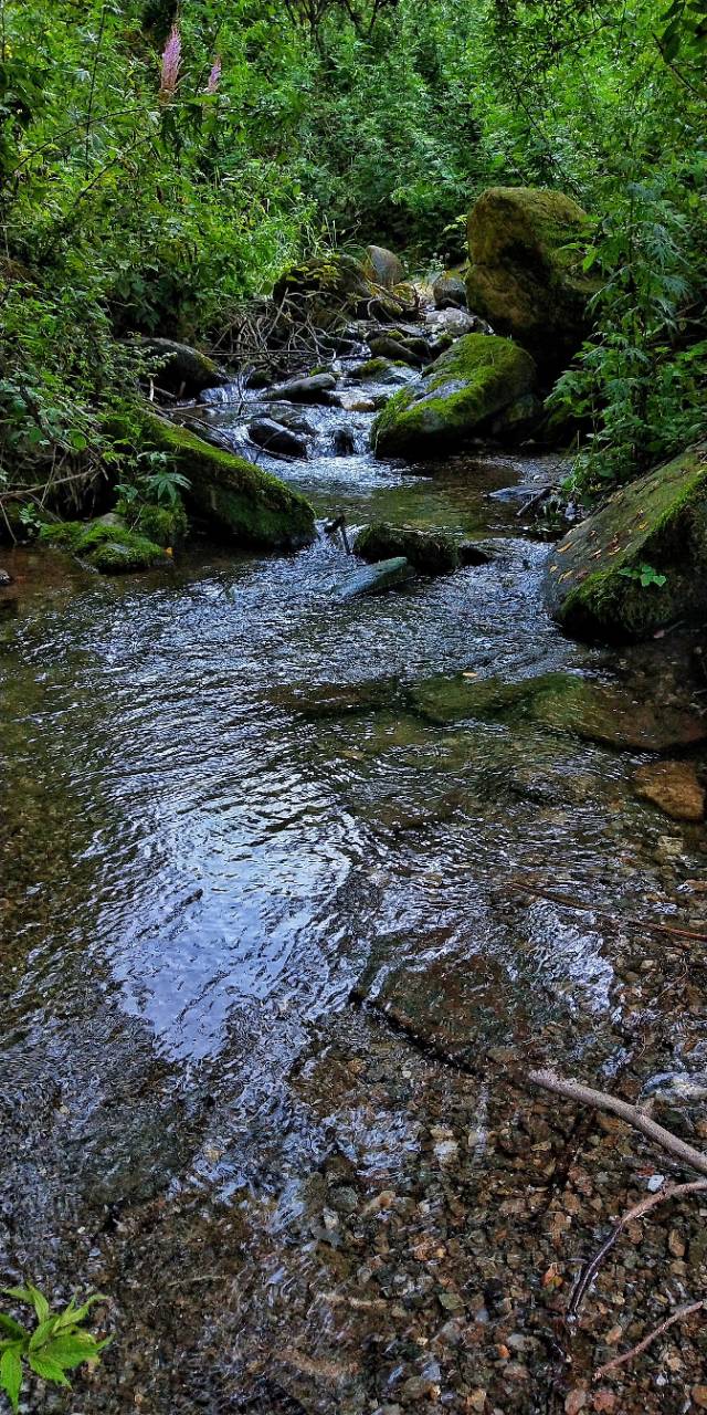 西安秦岭山下世外桃源,秦岭深处世外桃源图片