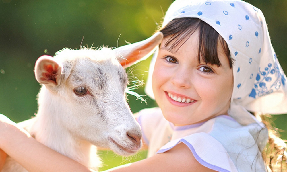 最新羊奶粉排行榜前十名,羊奶粉口碑最好的前十名有哪些