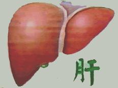 乙肝小三阳严重怎么体检,乙肝小三阳多久复查一次合适