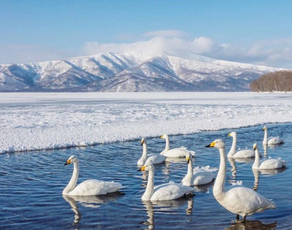 cnn评选出的日本最美的31个景点,cnn评选世界十大旅游地