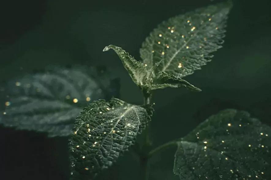资生堂哪个系列性价比高,资生堂哪个系列效果最好
