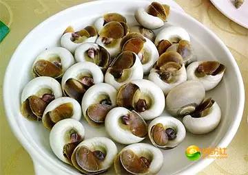 舟山4月份海鲜攻略,舟山海鲜代加工攻略