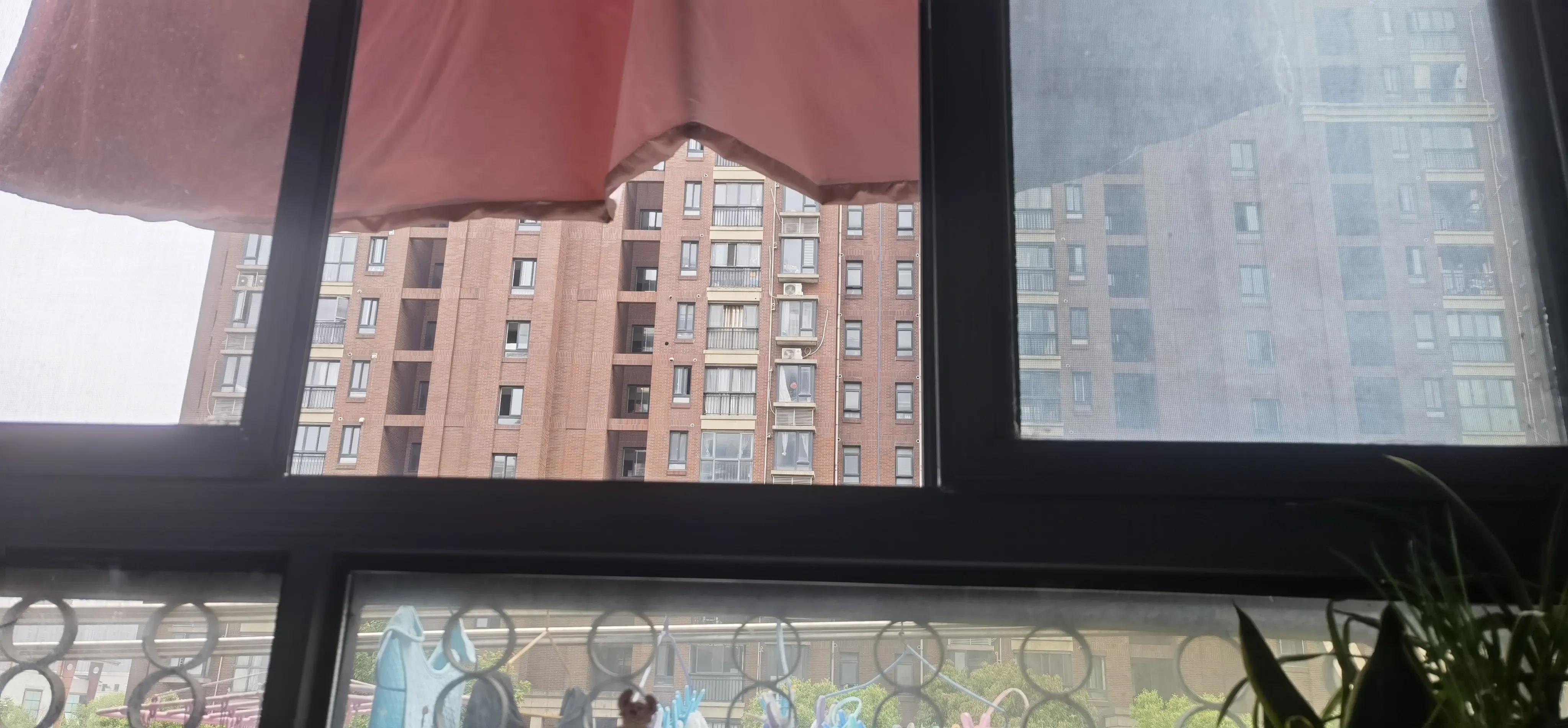 80后大学生的上海租房戏剧人生,搬家搬到崩溃,定居的喜悦与忧伤