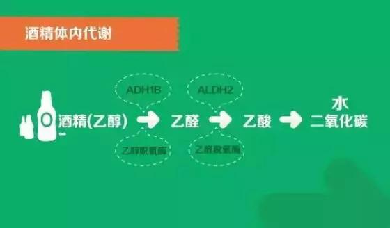 网上说的解酒秘笈,解酒谣言都有哪些