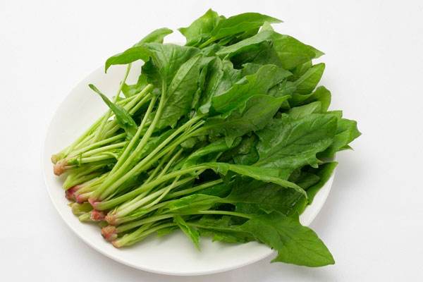 头晕吃什么蔬菜好得快,常吃四种菜血压降得快