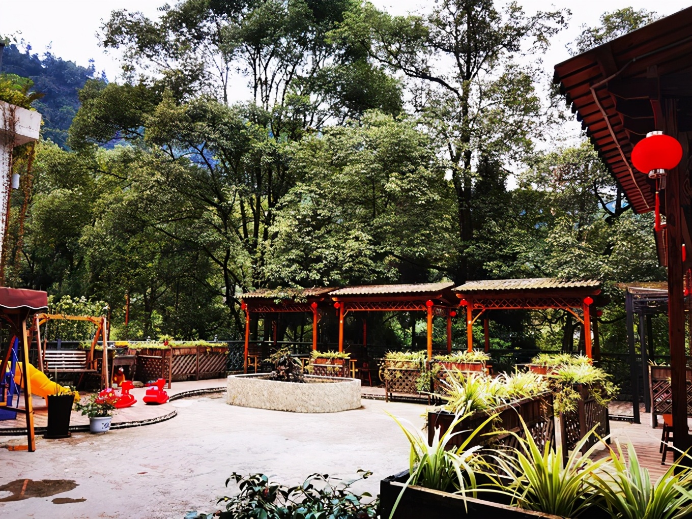 深秋峨眉风光好——「清音阁/金顶/红珠山温泉」三日行