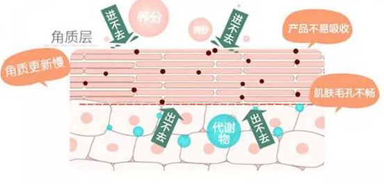 惊呆明星的颜值,让人惊讶的明星身材