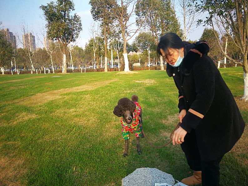 漫步河畔公园全景图,漫步公园美景