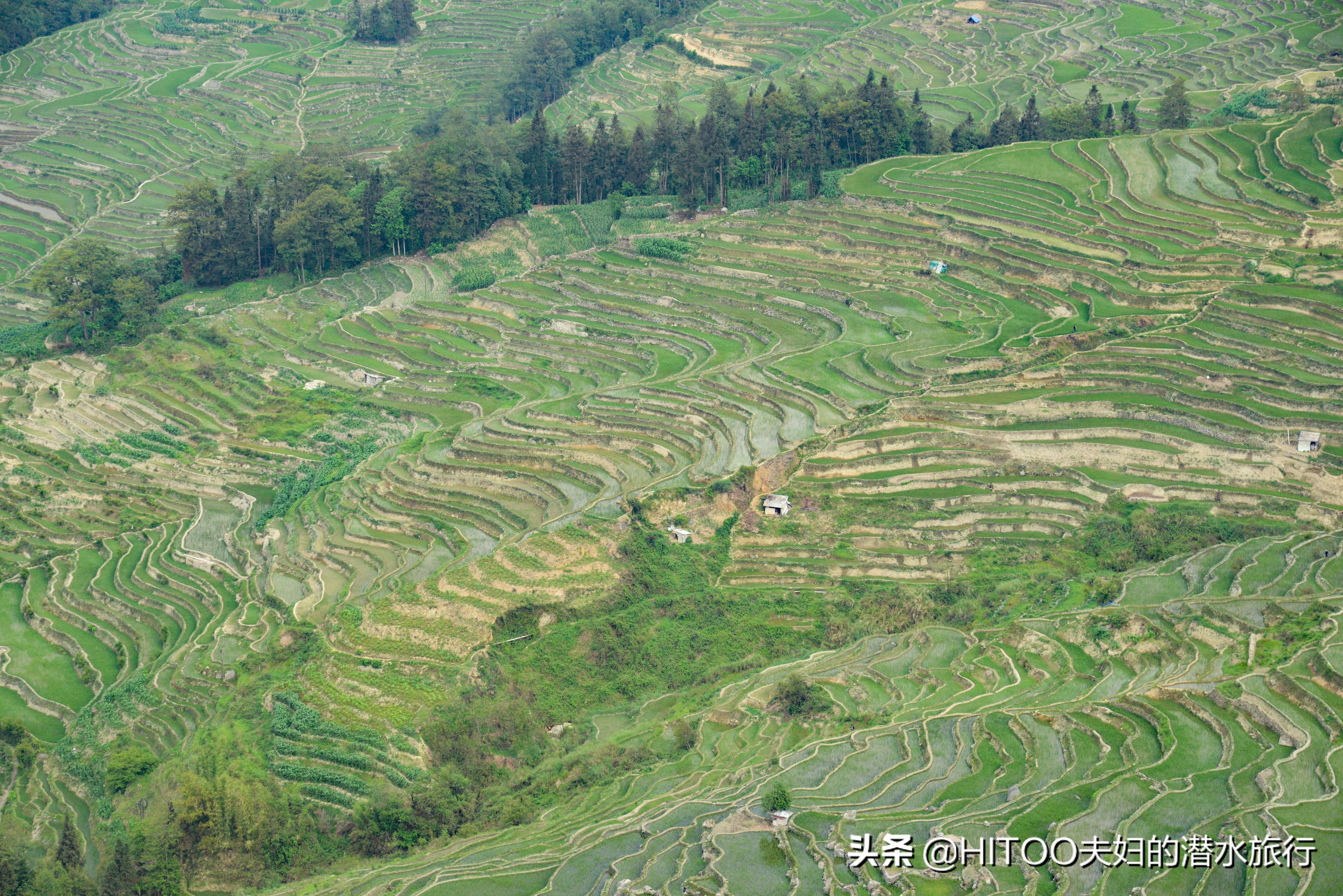 自驾元阳梯田旅游攻略时间,元阳梯田自驾游玩攻略路线