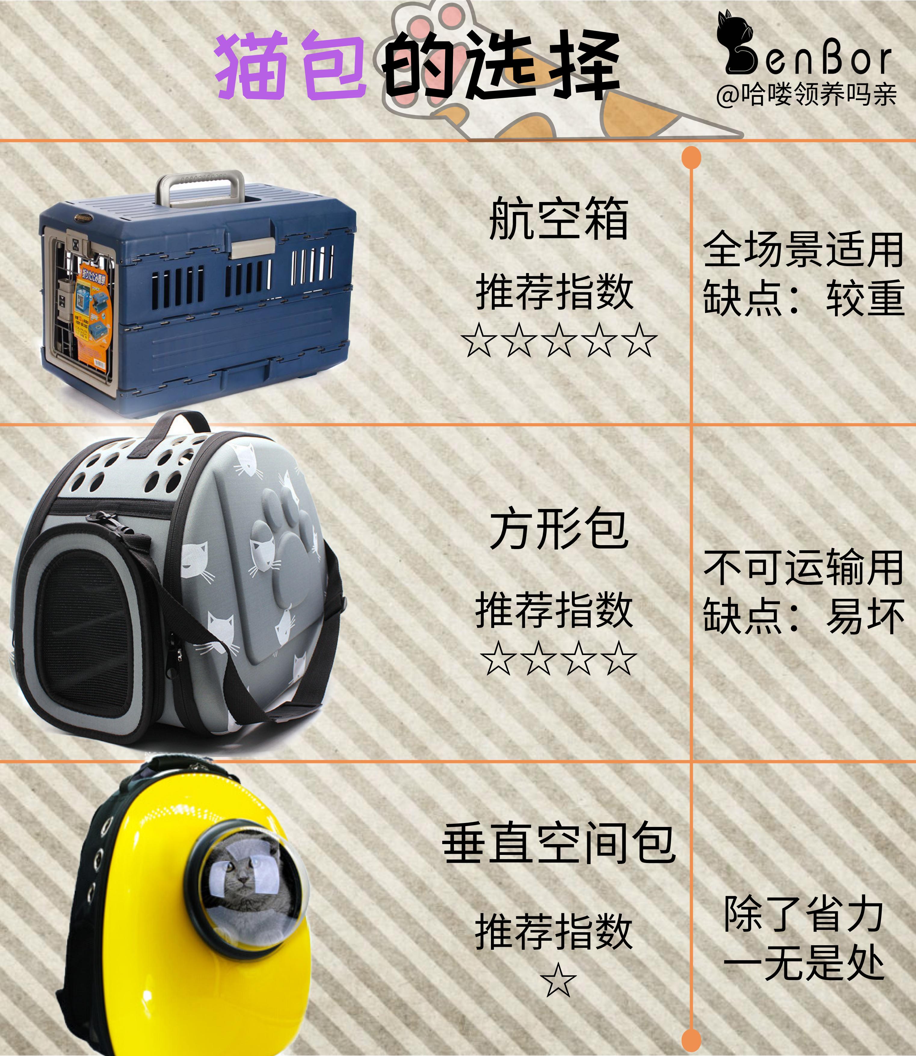 猫咪第一次用猫包注意什么,猫咪自制包