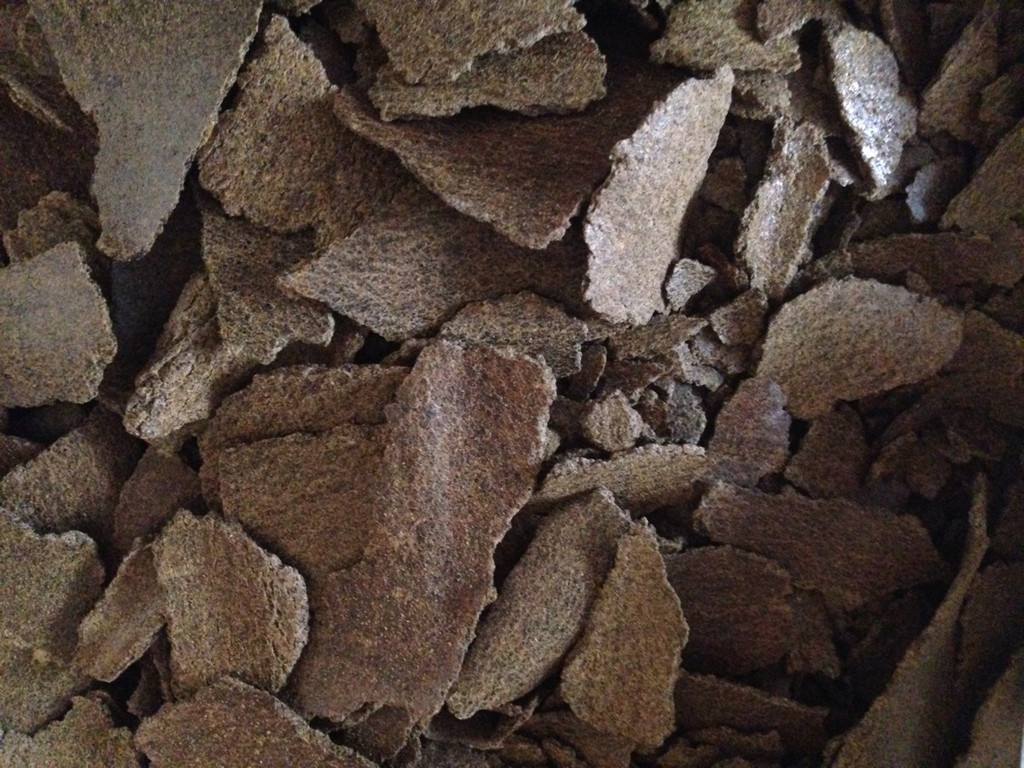 阳台种蔬菜长不大什么原因,阳台种的花为啥不长