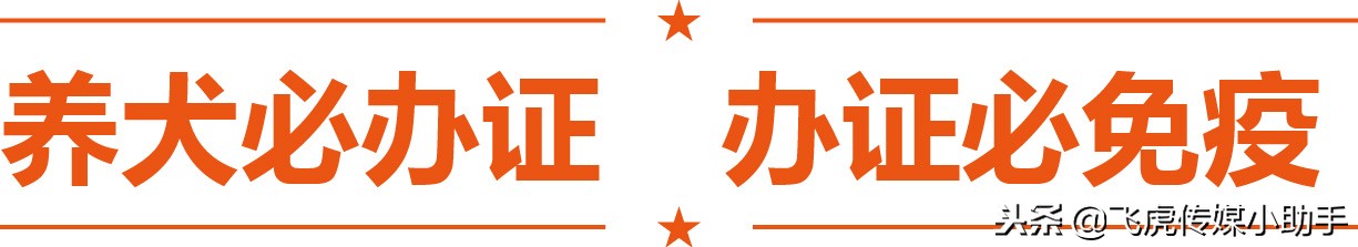 养犬免疫证办理流程,昆明市养犬管理条例