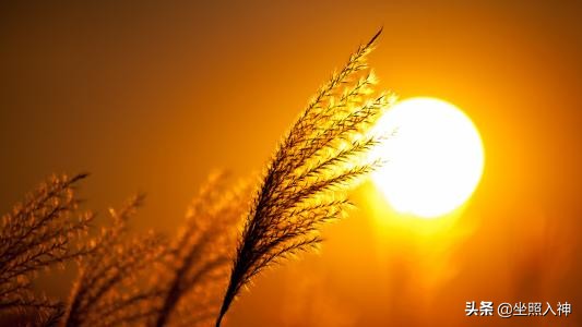 道德经的十大天机十种智慧,道德经十大玄机