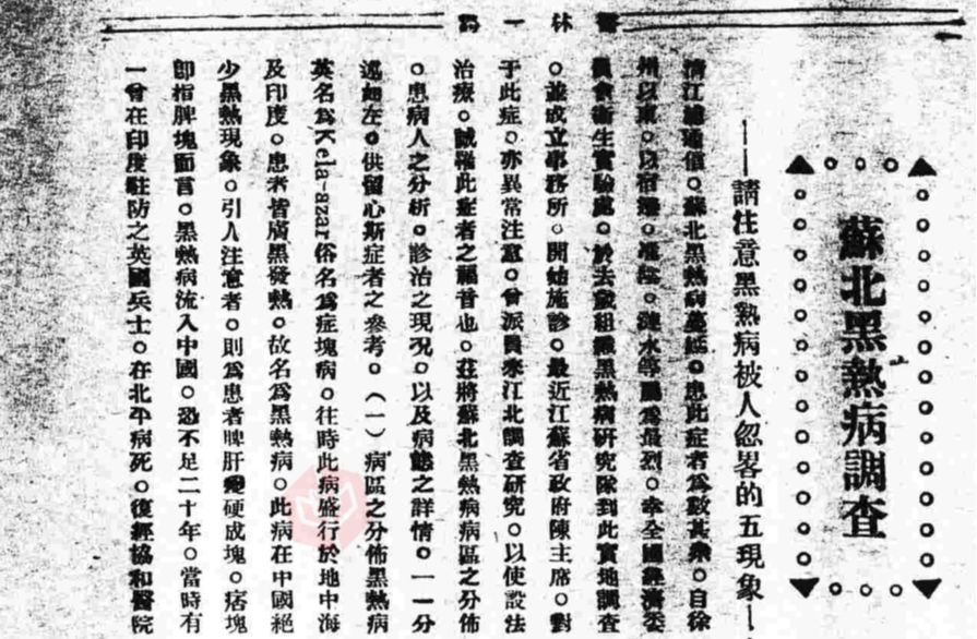 八国联军入侵真实历史,中国历史黑热病持续年代