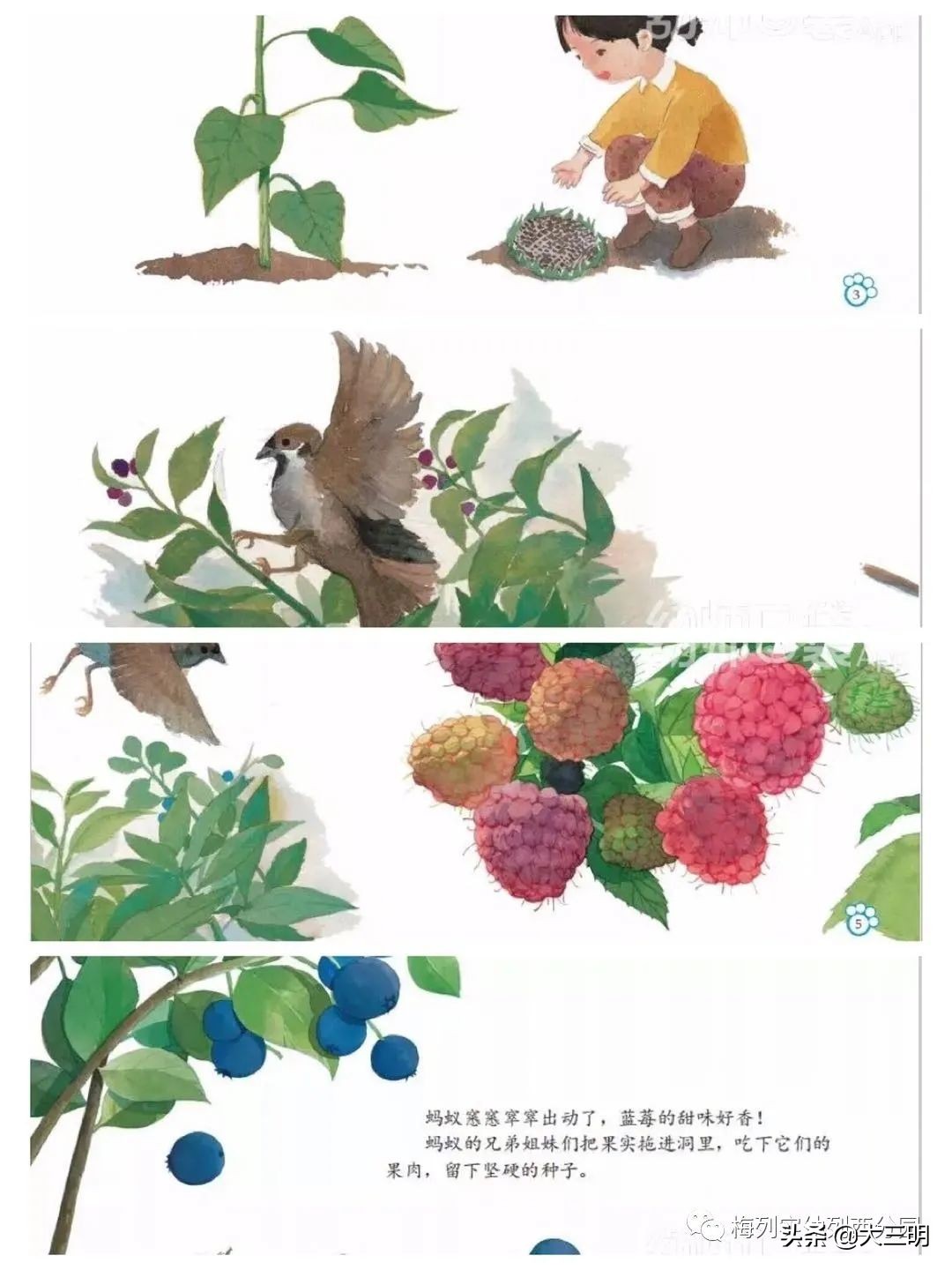 「家园齐心共战疫情」梅列实幼列西分园亲子“爱•悦课堂”中班（第四期）