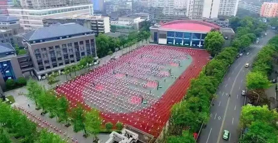 成都市中学排名情况最新查询,成都市中学排名情况最新公布表