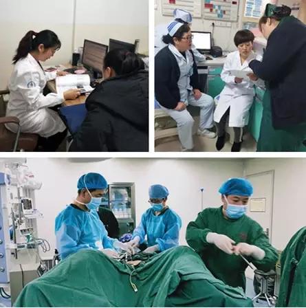 青海红十字医院项目,青海红十字医院和红十字会