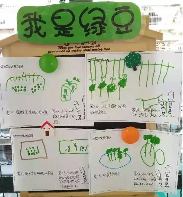 幼儿园小班科学区角布置视频,幼儿园科学区角布置图片手工