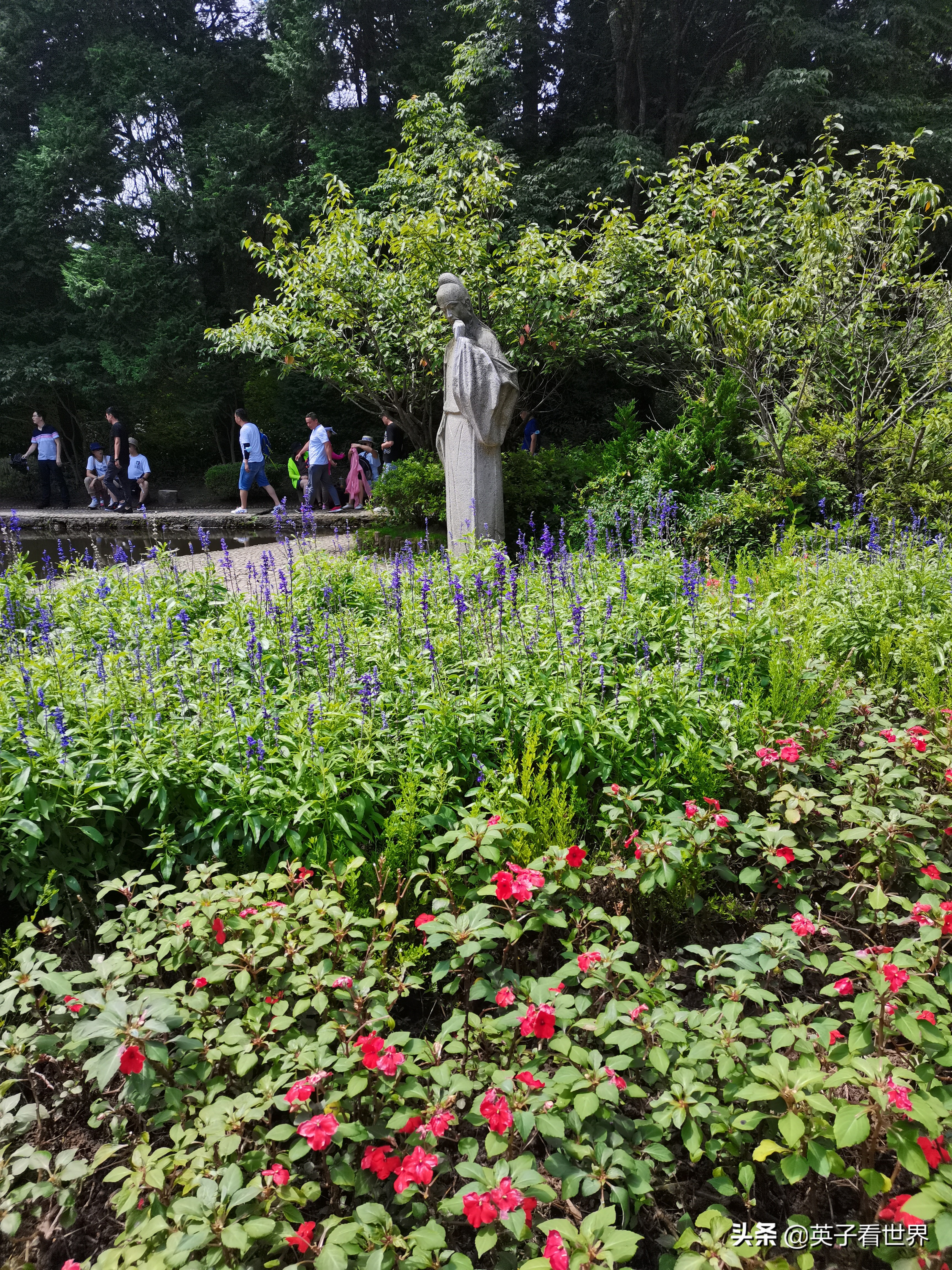 庐山三如琴湖,不识庐山真面目
