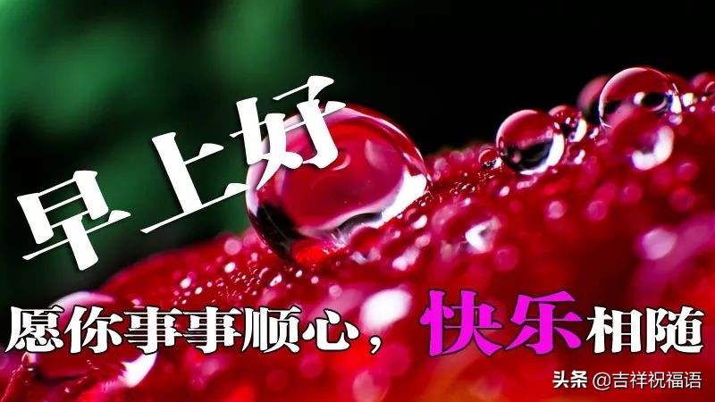 早晨问候语早上好微信短语,清晨最新早上好问候祝福语句