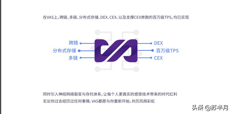一起来吐槽:来自暗网的公链项目VAS,竟然内含十级分销?