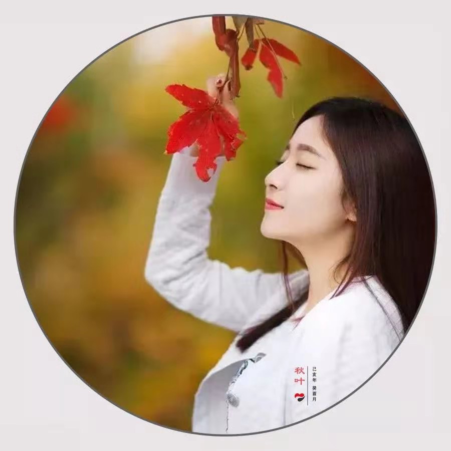 秋叶800m,秋叶800m最新视频