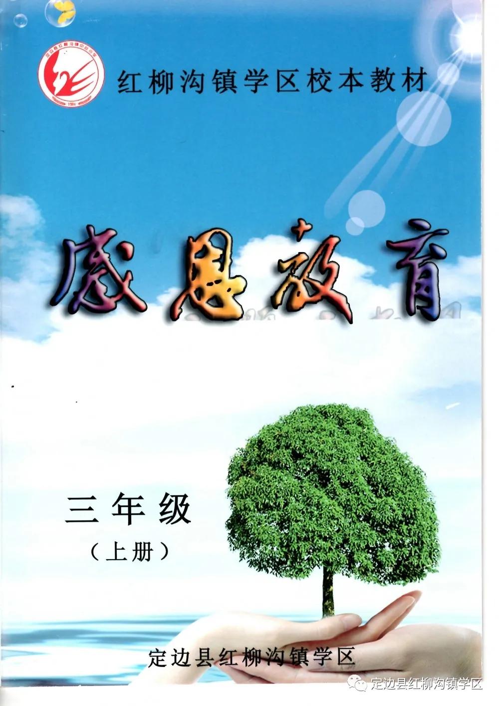 以爱育爱共筑梦想——定边县红柳沟镇学区发展纪实
