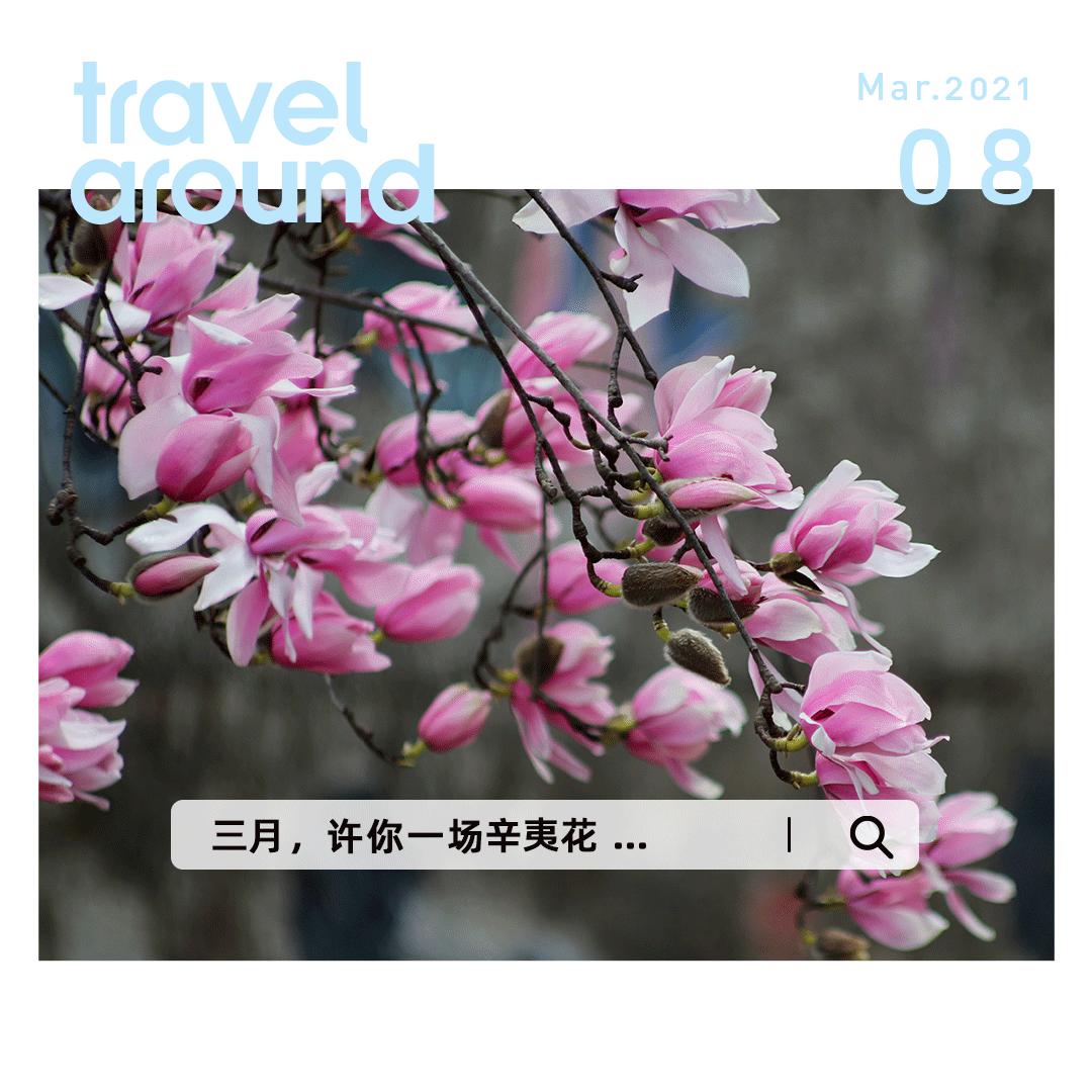 李子柒家乡成旅游景点,李子柒乡愁