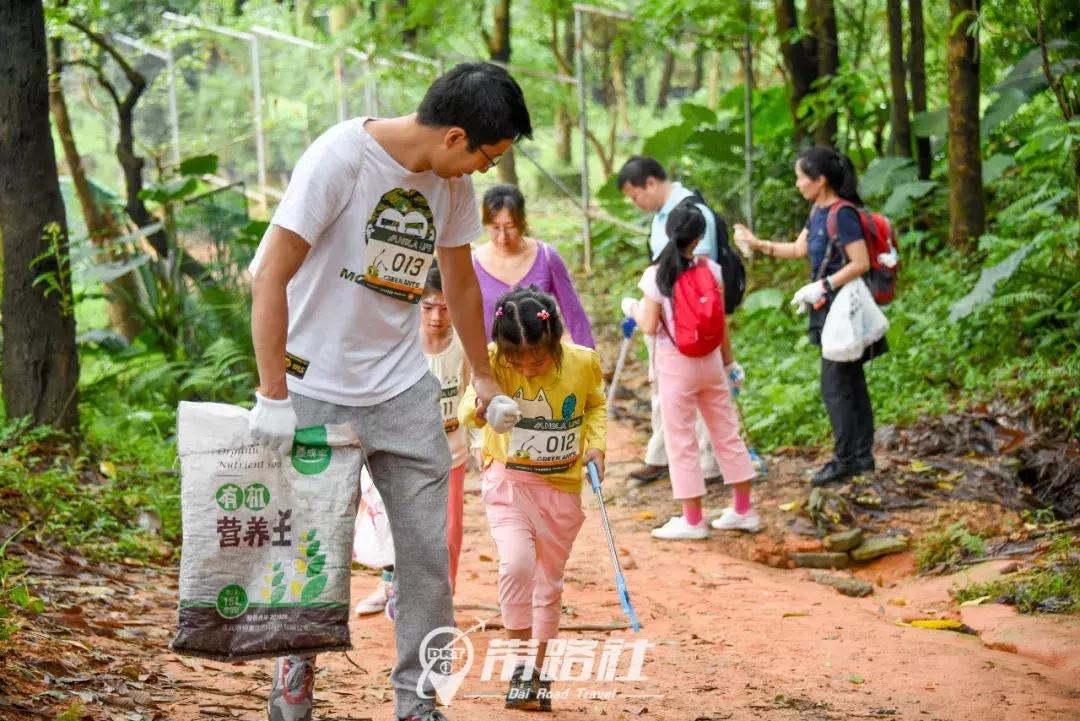 绿色环保行动实践活动总结,用行动践行绿色环保理念