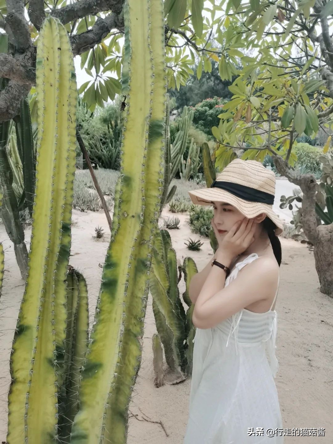 第一次去厦门必去攻略,去厦门的自由行攻略图文