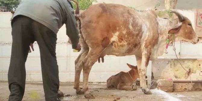 这个国家感染人数可能会破5亿！上千万人或丧命！疫情真正的黑洞