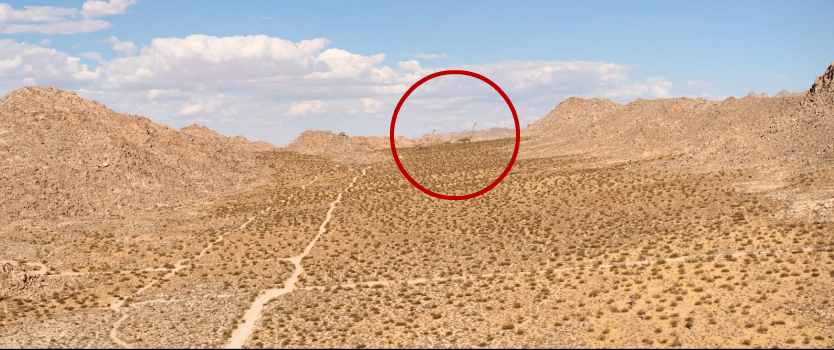 棕榈泉电影观后感,棕榈泉结局