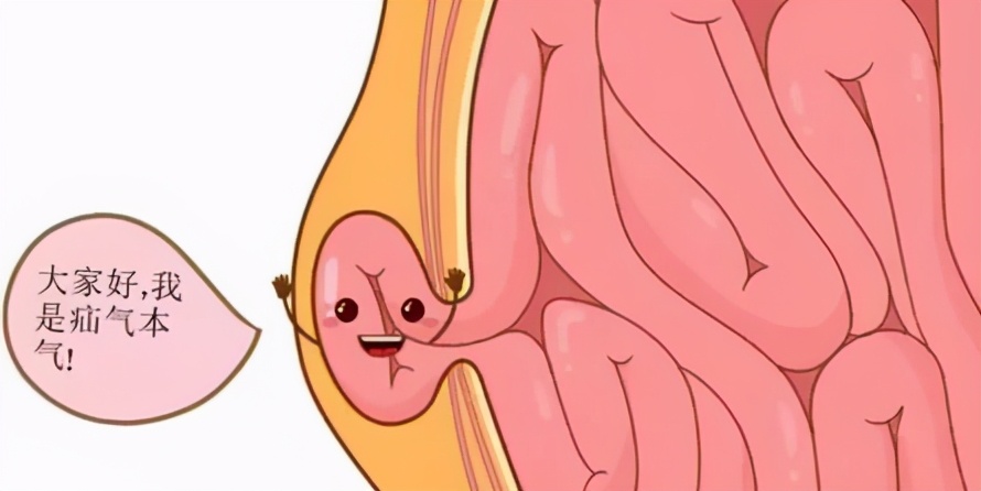 医院科室之窗,骨科科室之窗