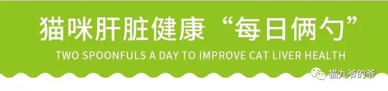 猫九爷:霉菌毒素对犬猫的危害!?